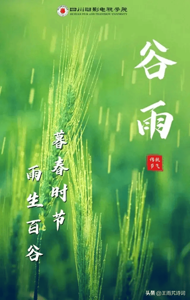 七绝谷雨