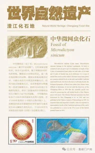 图文设计者最强大脑水哥和原大师谈世界自然遗产澄江化