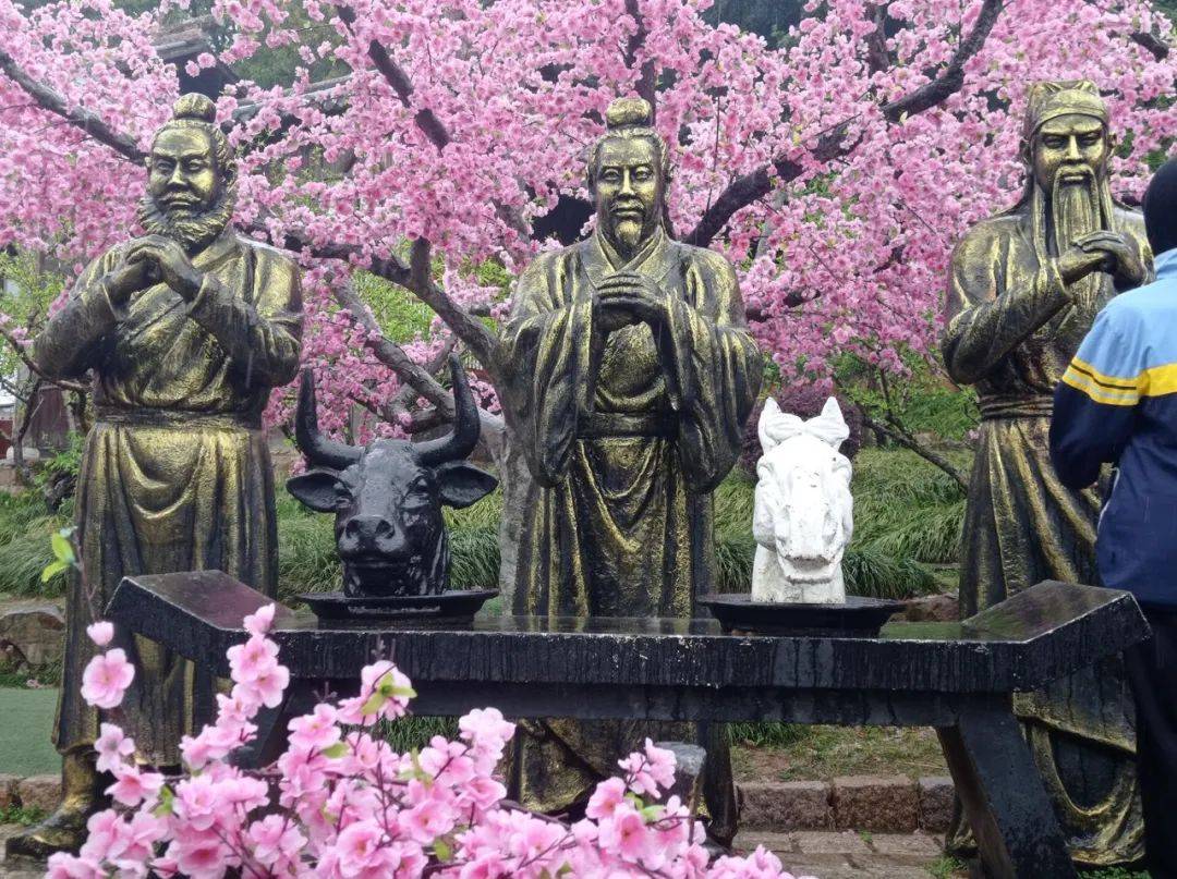 星播报品味名著经典行走历史课堂三国城水浒城求真社会实践活动