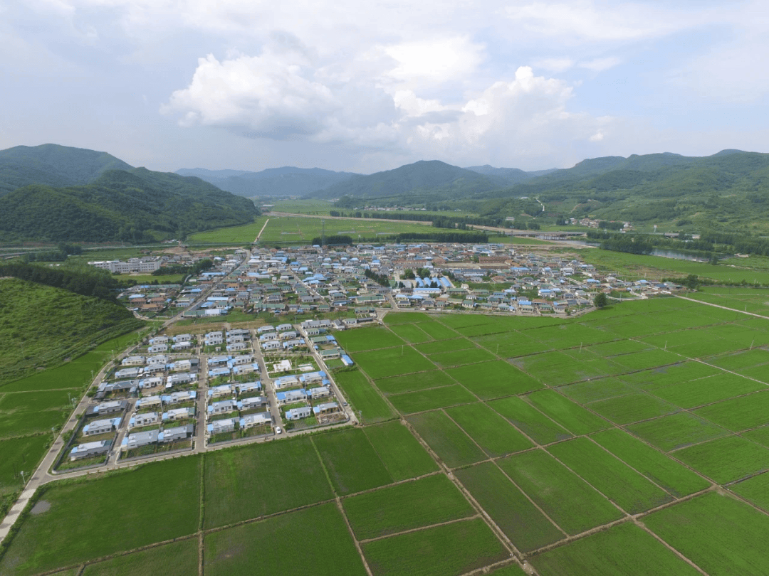 走进延吉市朝阳川镇八道村,村路干净整洁,房屋错落有致,俨然是一幅