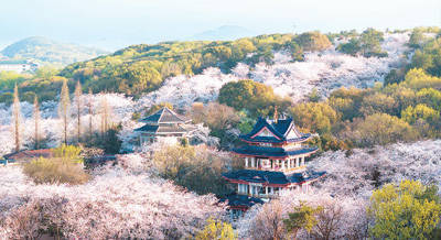 以运河之美迎全球宾客