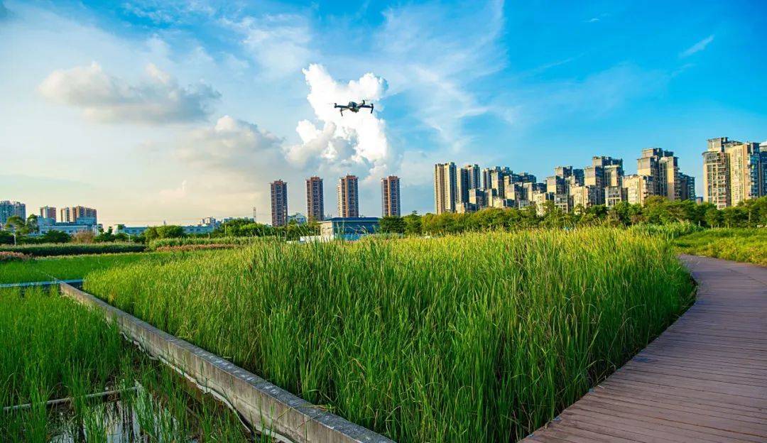 各区工信龙华今年将初步建成低空经济先导区