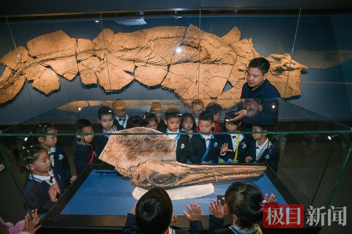 穿越一万年时光,萌娃走进"侏罗纪"探索恐龙的秘密_湖北省_武汉_化石