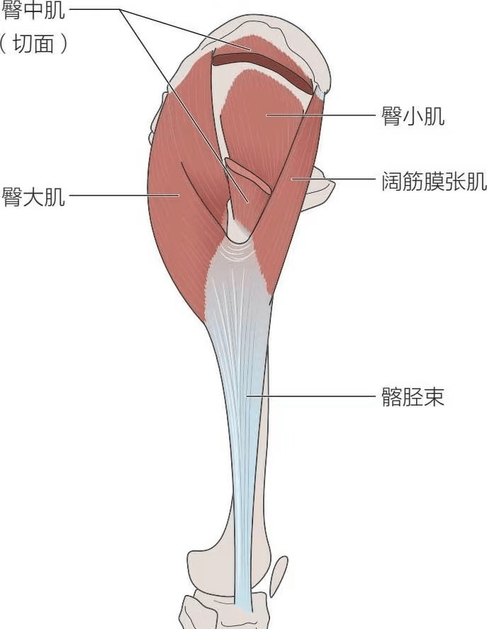 小心髂胫束综合症!这几个动作教你快速缓解