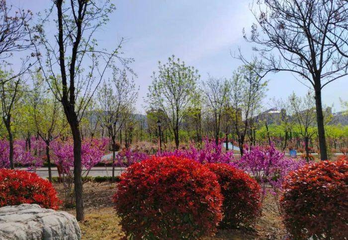 山亭微城管邀您一览不墨山亭幸福小城的无限春光