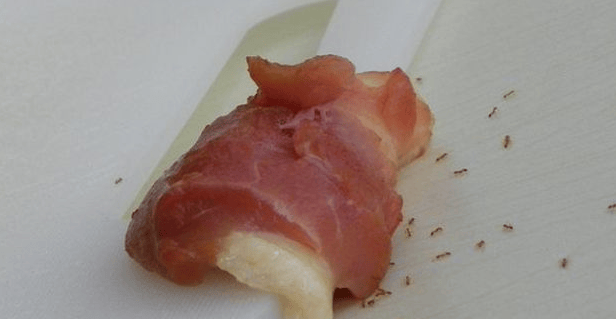 今日话题最近很多广州人晾晒的衣服上出现这种绿色小颗