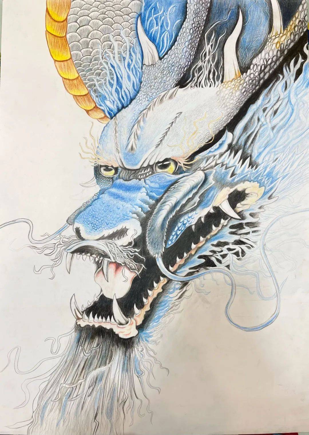 touchmark龙年画龙绘画创作赛获奖名单公布