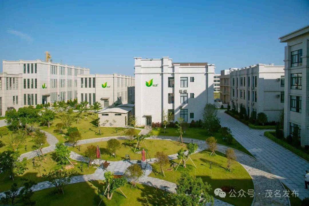 感恩奋进谱新篇②茂名挺起产业脊梁推动集群发展