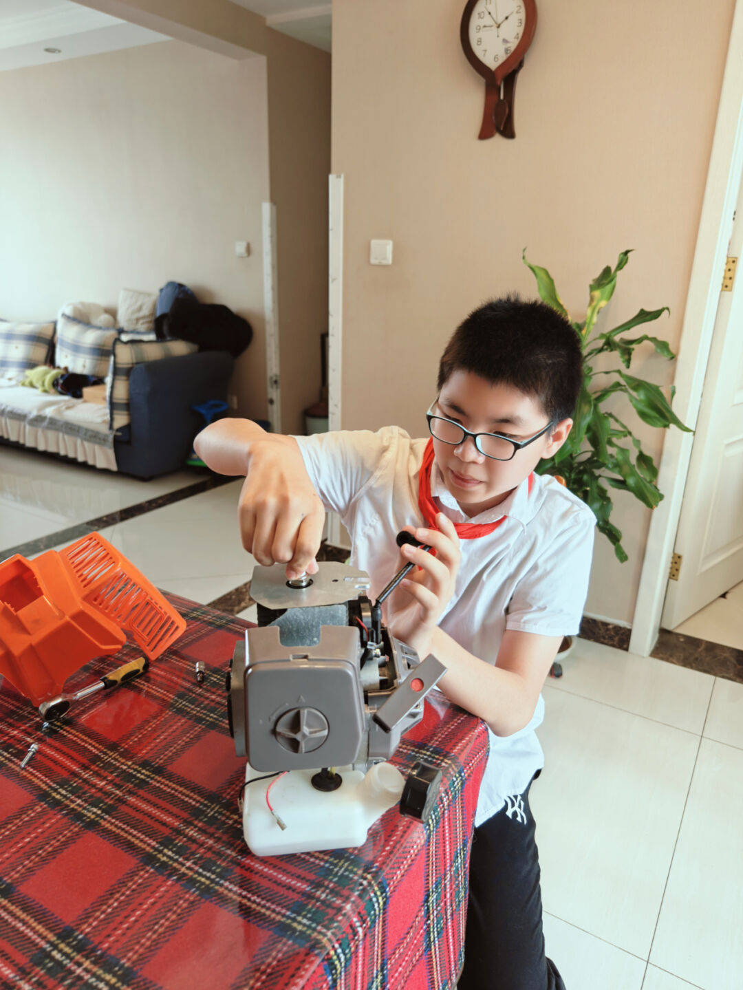 2024年石家庄市新时代好少年展示