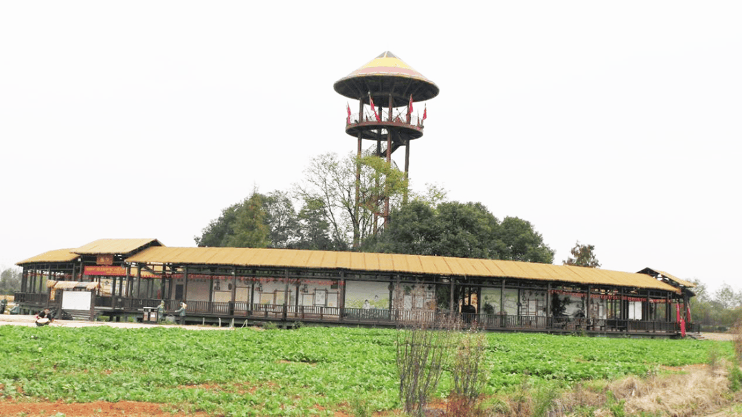 这个项目主打农耕研学年接待30万人营收2600万