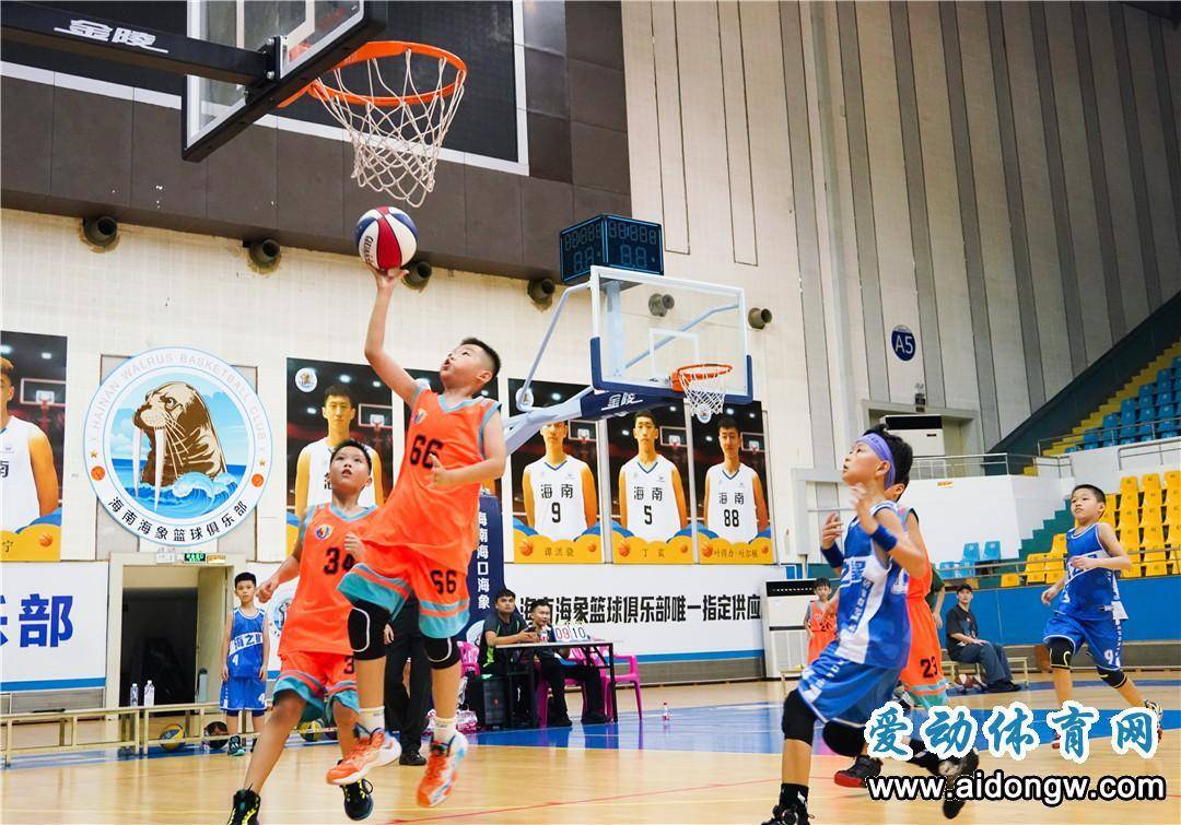 报名2024年海南省小篮球联赛5月开战