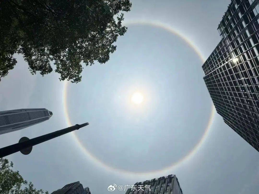 今天这组照片在东莞朋友圈刷屏