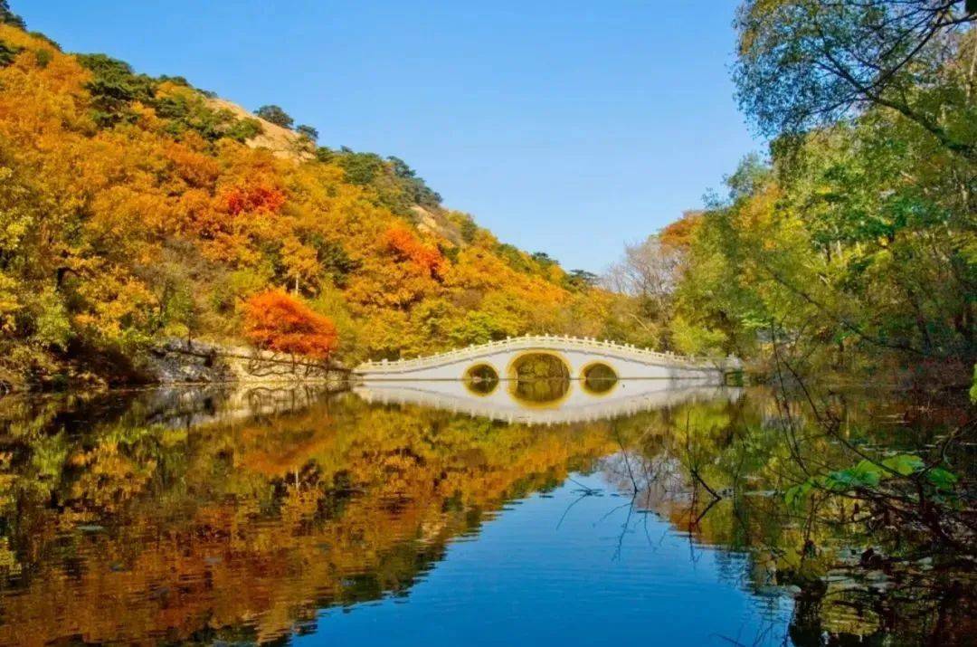 【美丽鞍山】鞍山——属于"辽c"的春日专属浪漫请查收_工业_城市_东北