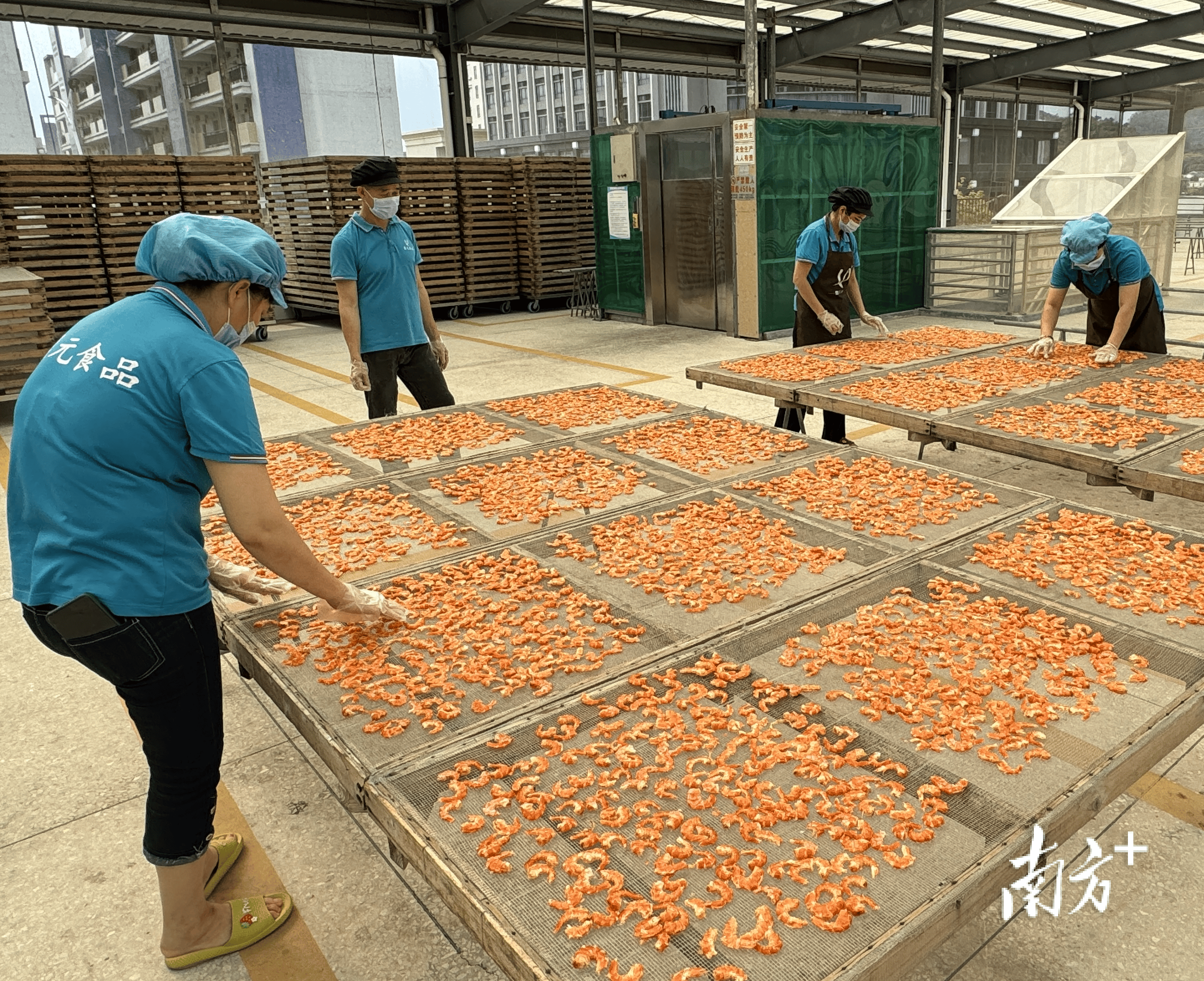 企业为阳东速度点赞多部门合力通办15天内赢得申报截点