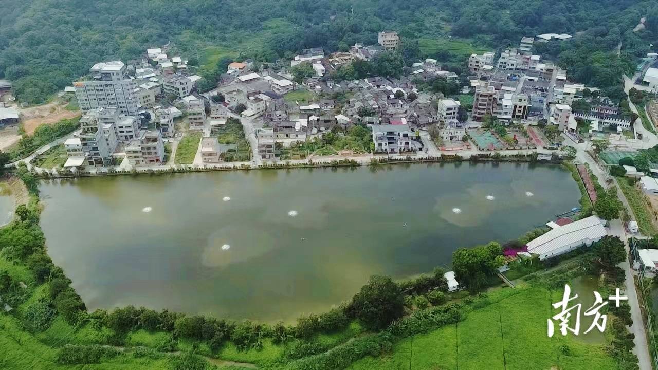 走读"百千万工程"典型村 | 湘桥区意溪镇坪埔村:产业提升"含绿量"