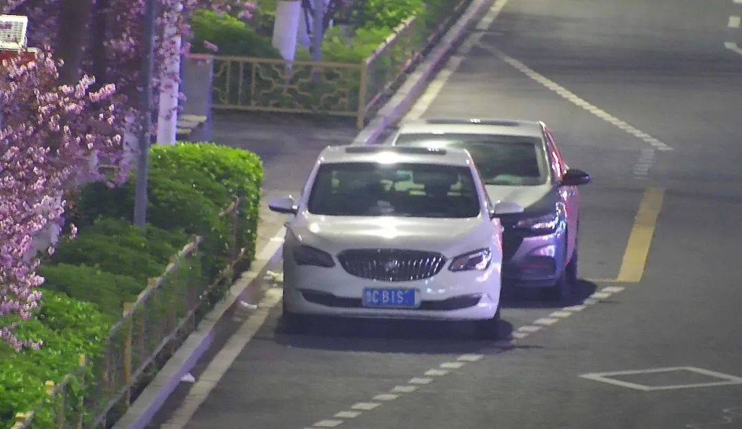 鲁c鲁g京a鄂f都被拍下来了