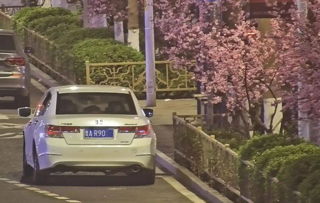 鲁c鲁g京a鄂f都被拍下来了