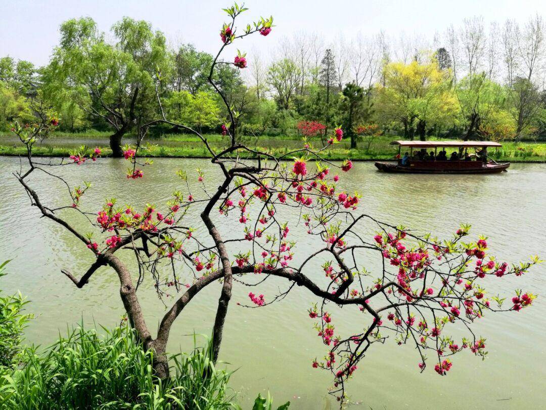 66首上巳诗词风和日暖曲水流觞许你一个诗意春天