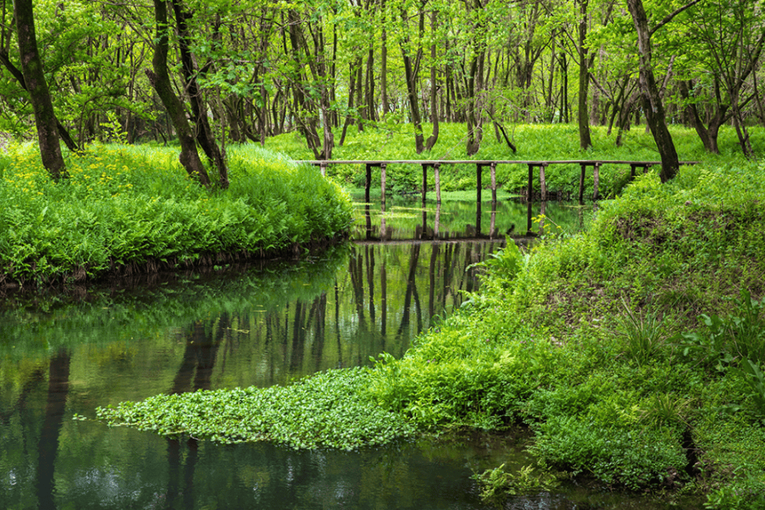 蓄势待发雨水将再次登场本周后期永嘉天气