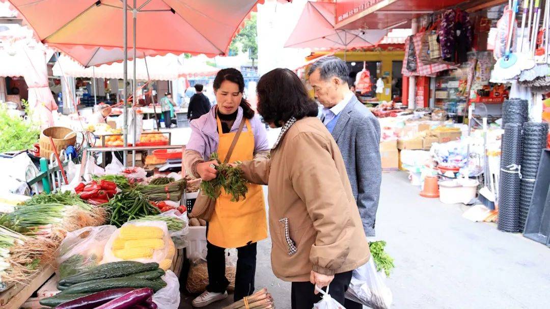 三穗杨凯图片