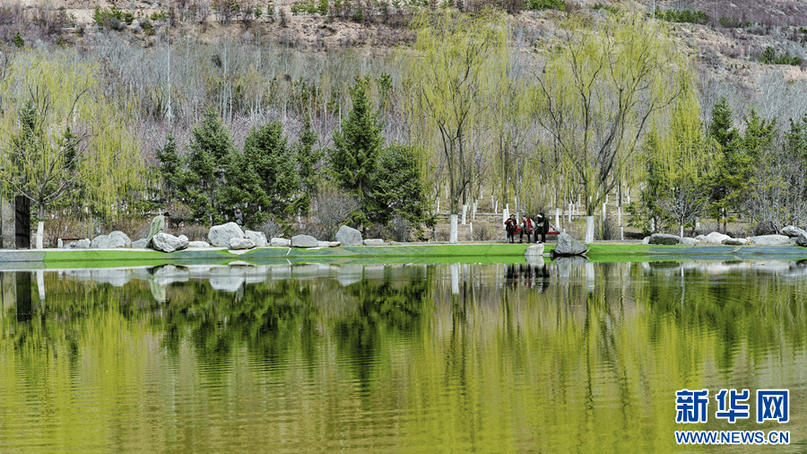 春拂西宁看北山美丽园的满园春色