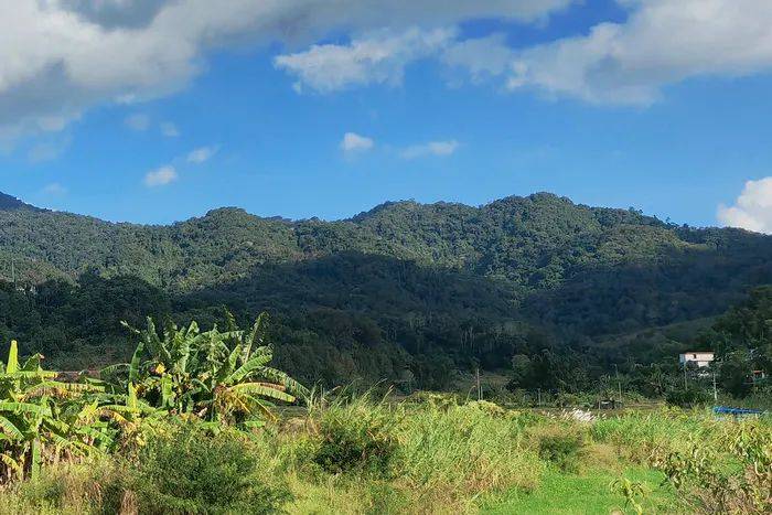 李林青白石岭外一首海南作家新时代新农村系列主题采访作品