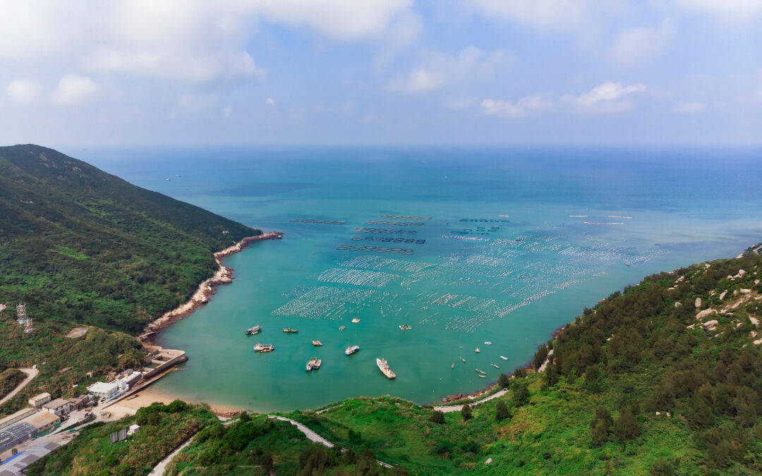 点亮乡村丨到南麂听一曲悠扬绵长的海洋牧歌