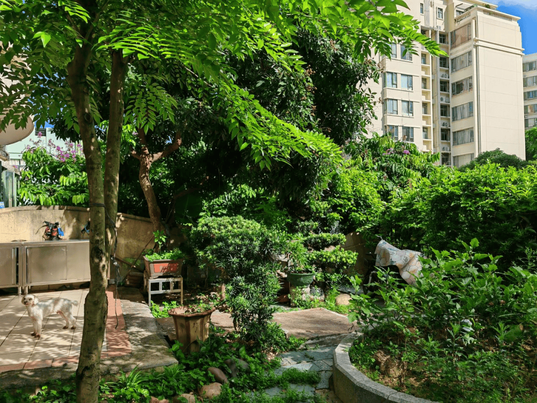 莲新社区——李英兰家庭莲兴社区——何东家庭凤鸣社区——黎锦伦家庭