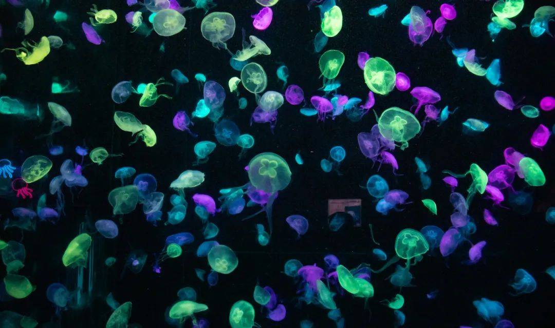 带好雨具明天夜里起降水明显周日局部可达中雨