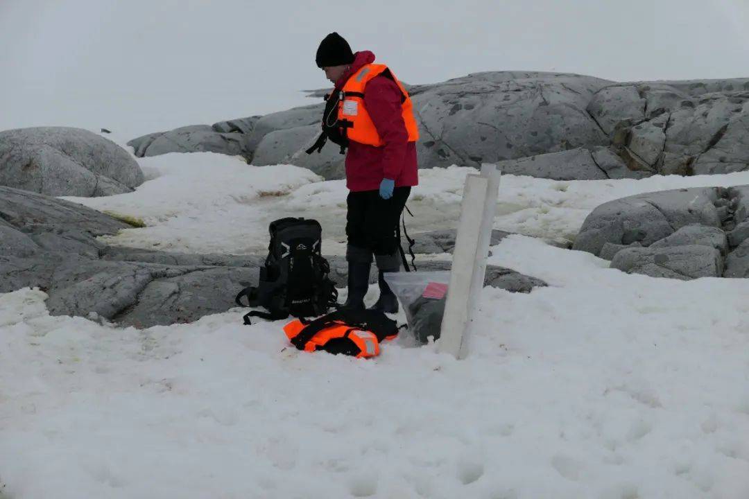 刘鸿伟_吴旭东_采样