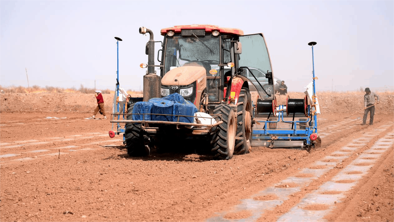 北斗导航一体化精量播种系统的大型棉花播种机在广袤条田上稳步运作