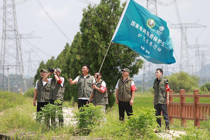 鸟线双护谱写青春谐奏曲
