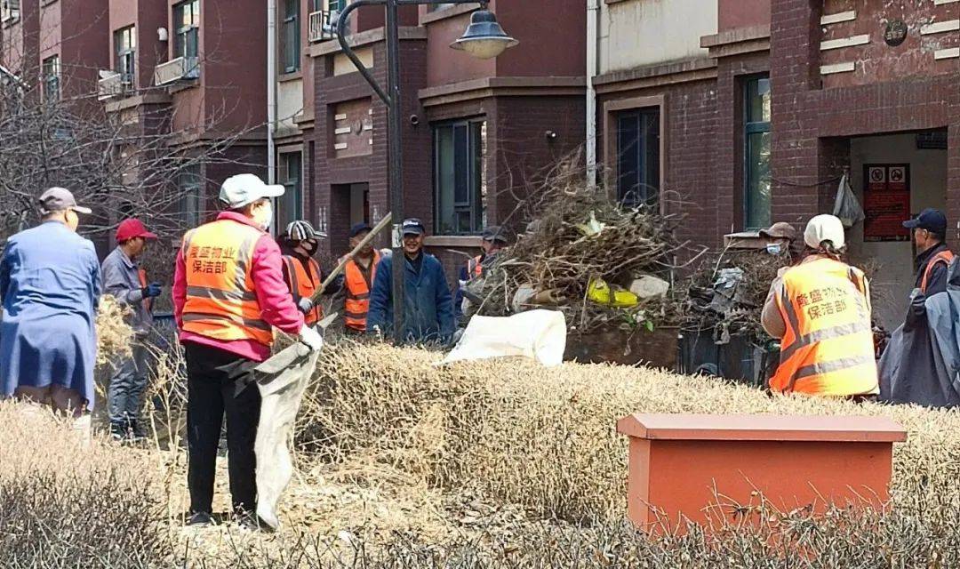 工作动态北山街道全力做好春季环境整治工作