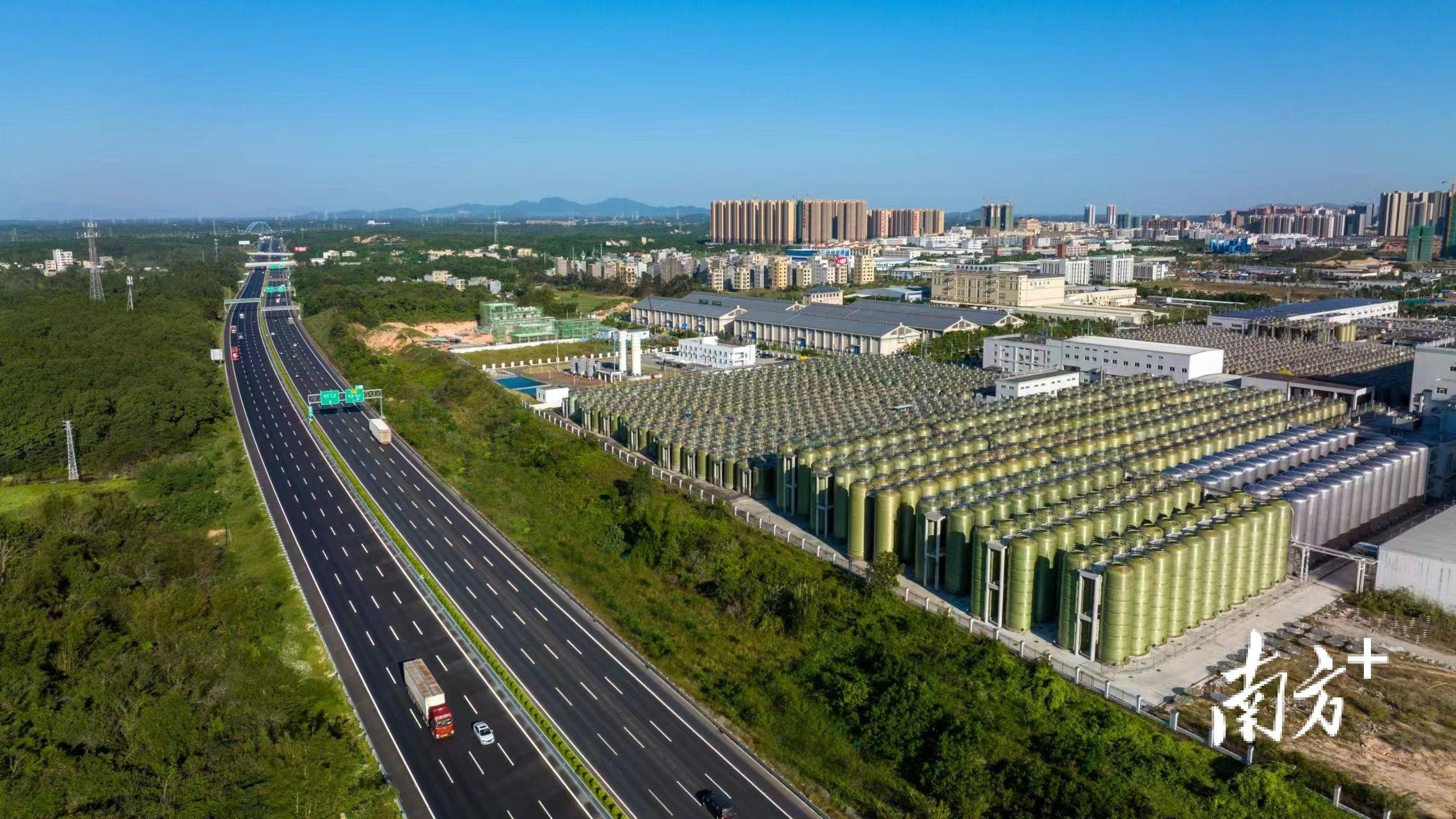 阳西味道飘香海内外健康食品产业加速跑