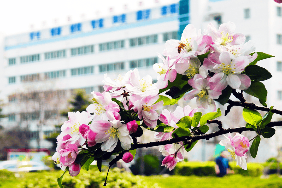 一份春日发展图鉴快来兖矿能源邂逅