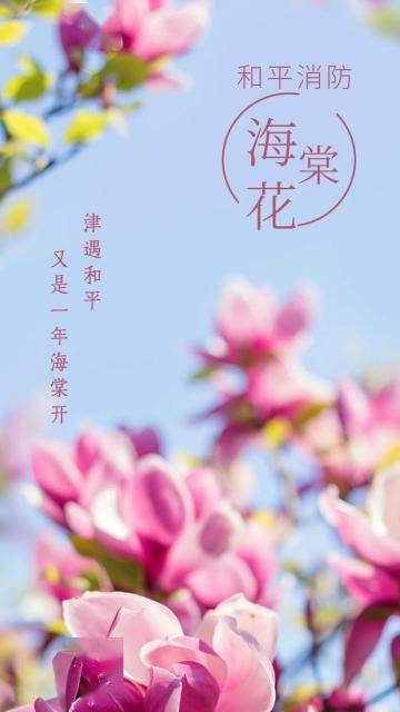 汇聚成流动的花海,点亮了明媚春光……第二届五大道海棠花节期