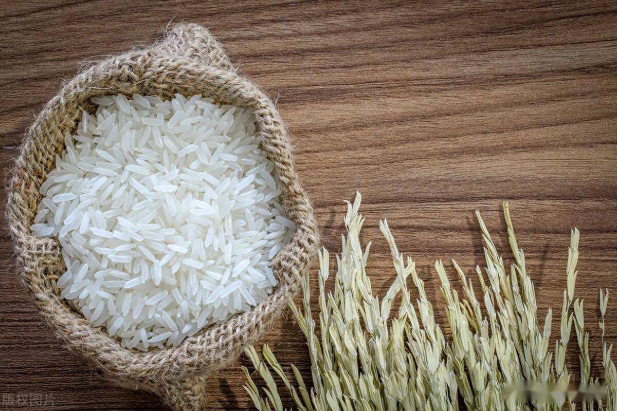 中时通:【独家观点】方向难寻,稻米涨跌两难何时破?