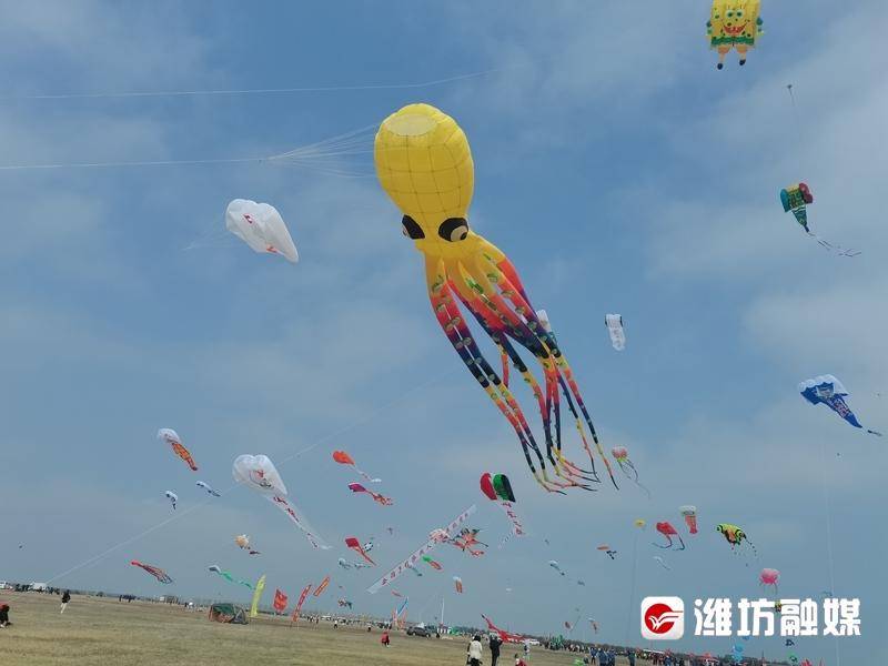 更好潍坊潍坊风筝大赛开赛千余只风筝上演空中盛宴