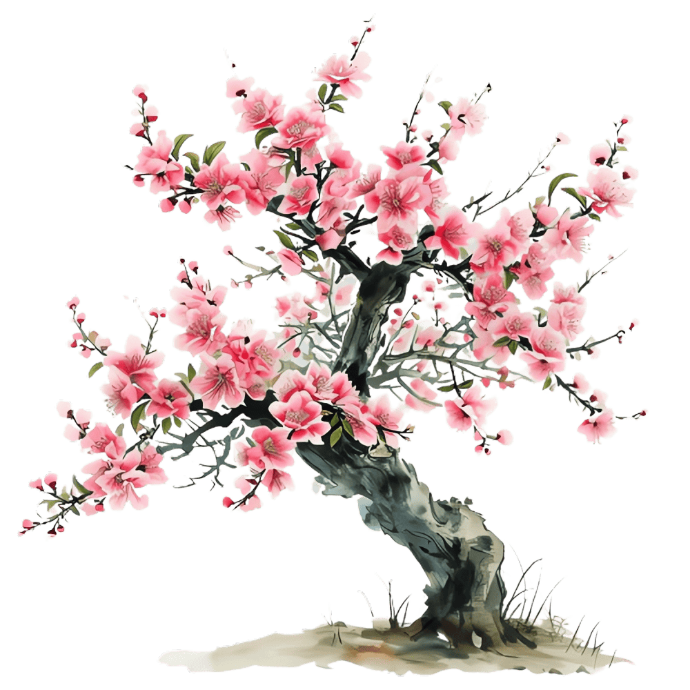 巴渝风到云阳黎明沐山间清风享和美村光