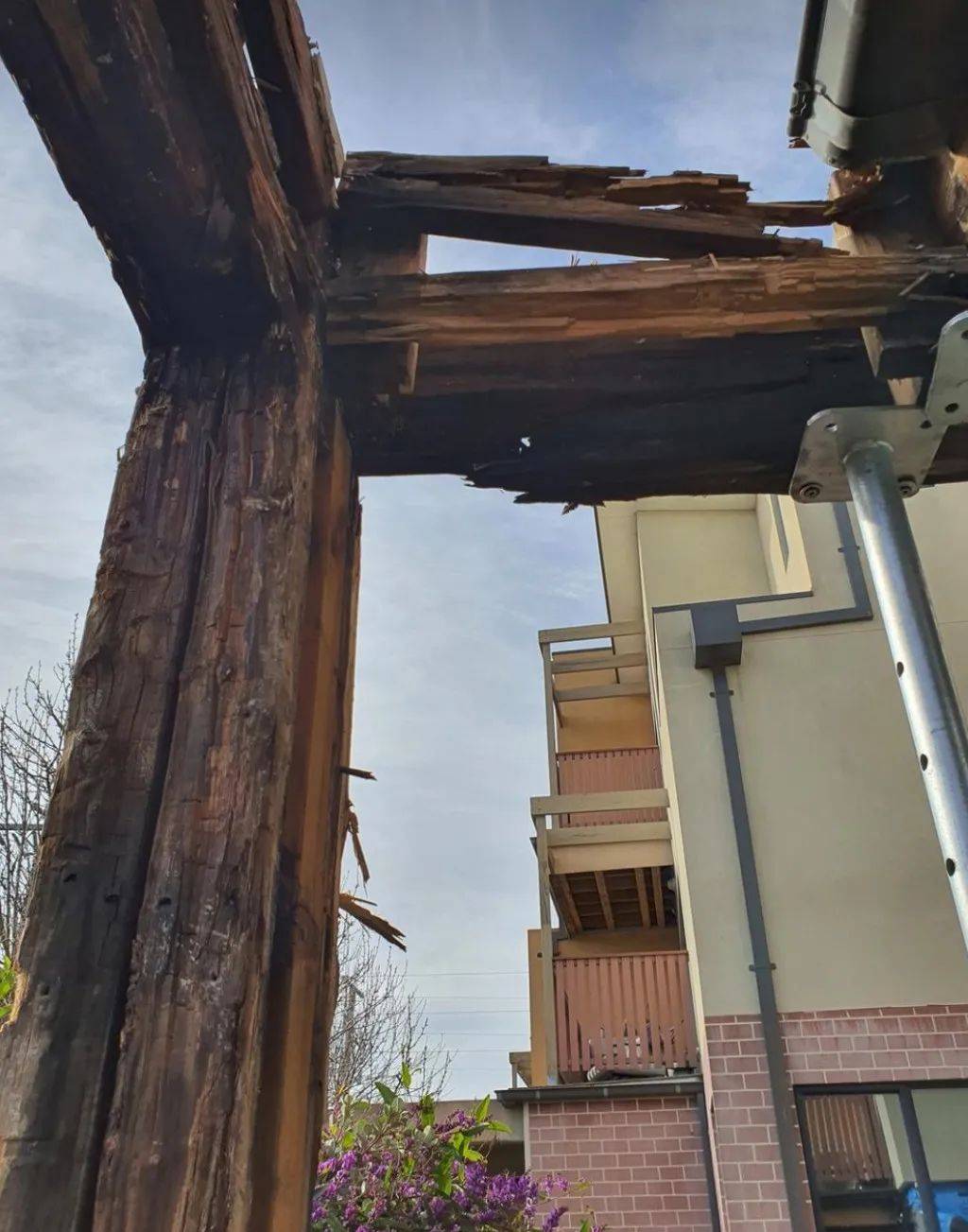 事件澳业主收市政邮件后崩溃公寓存严重质量问题维修费高达900万