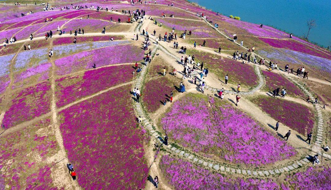 曹操运兵道,华祖庵,南京巷钱庄,魏武祠,道德中宫景区门票挂牌价半价