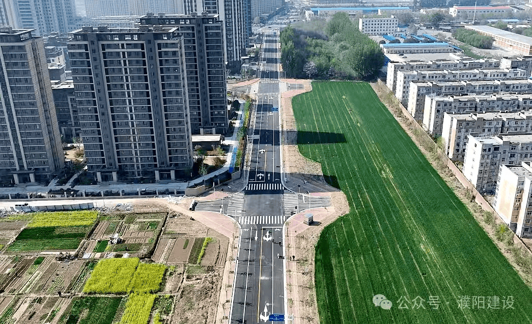 全线贯通濮阳这条路正式通车