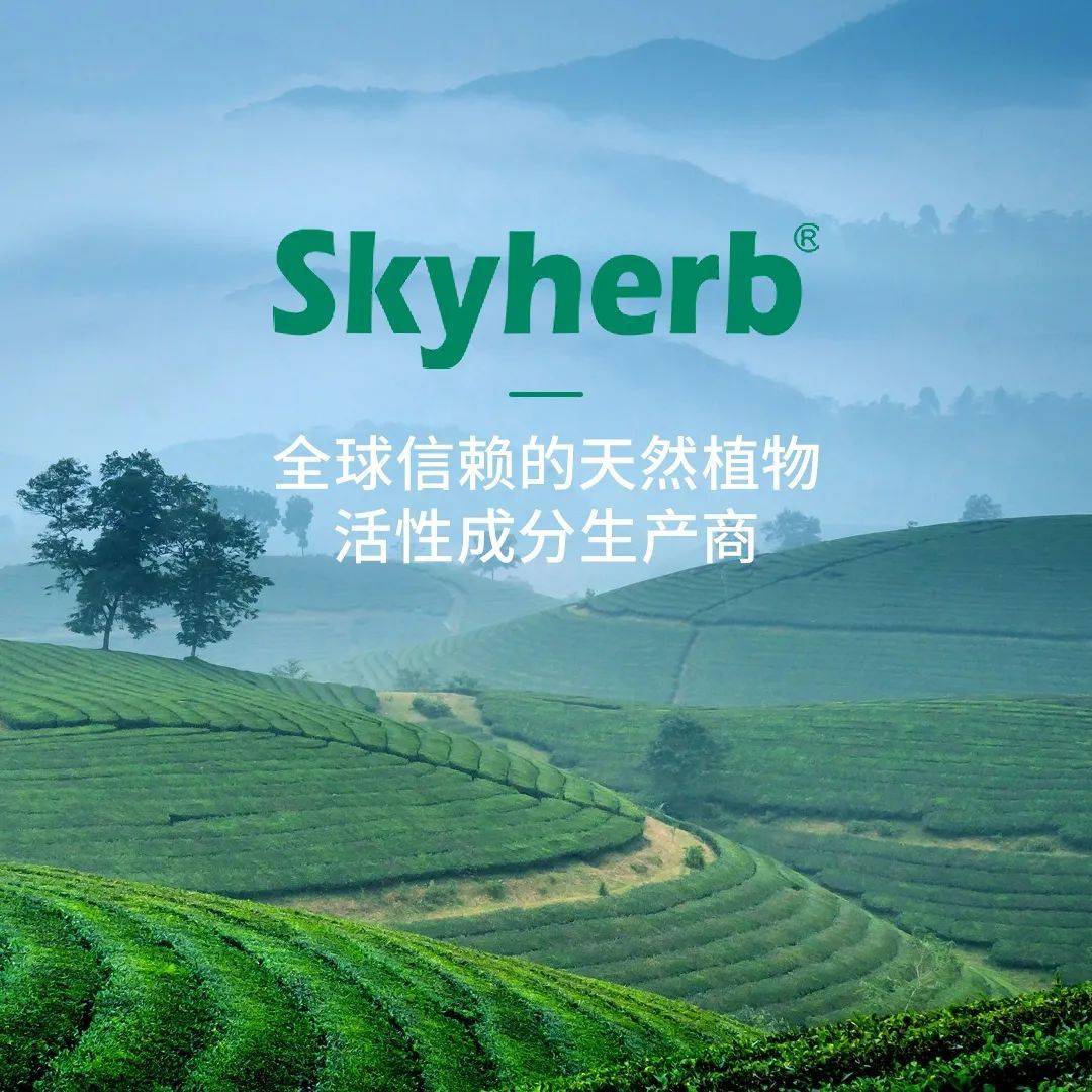 网站建设天草生物全球信赖的天然植物活性成分生产商