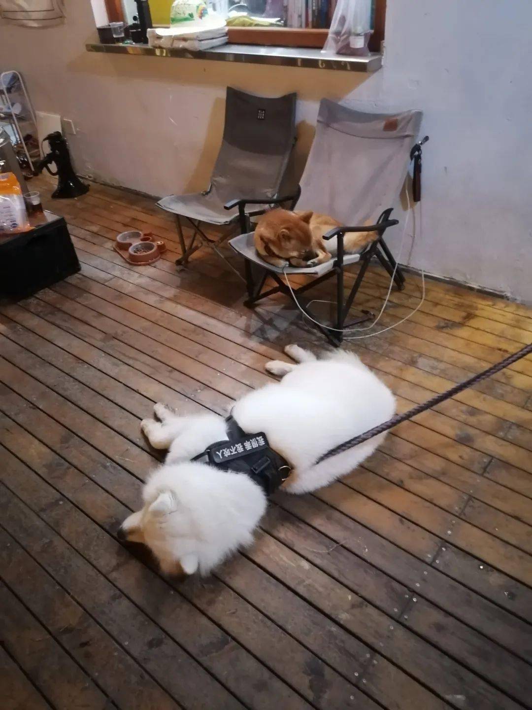 阿达木虽然打下去第一针感觉非常的好,第二天就感觉跟正常人没有什么