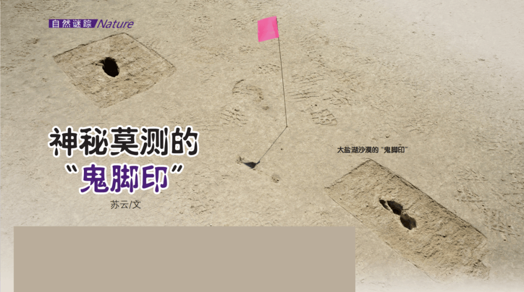 神秘莫测的鬼脚印