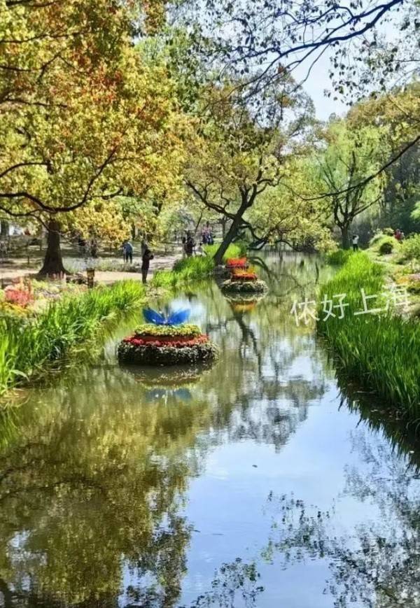 上海这座免费公园人气爆了！莫奈花园、8米鲜花瀑布！打卡攻略&避雷提示来了！