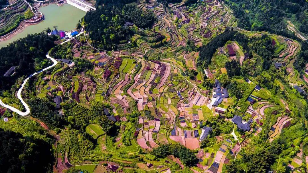 趁着好天气→这10处杜鹃花开好啦!快来打卡吧_美食