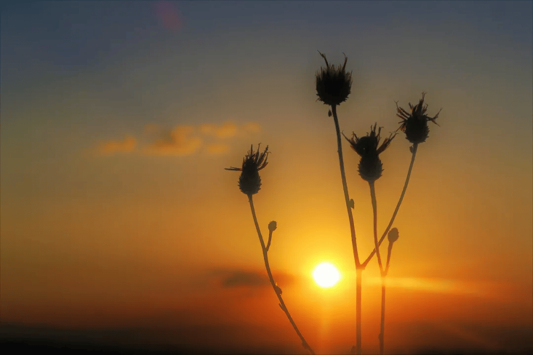 背景 壁纸 风景 天空 桌面 1080_720