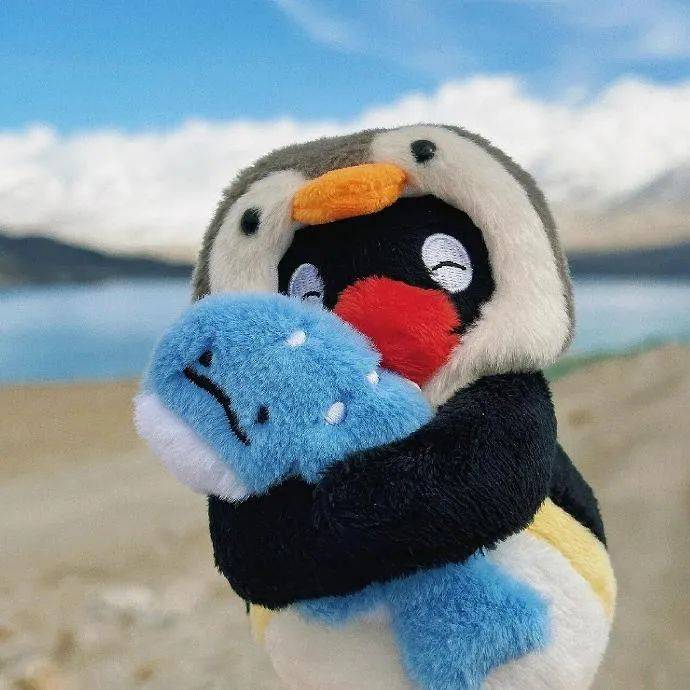 满满的治愈小企鹅太可爱了小宝