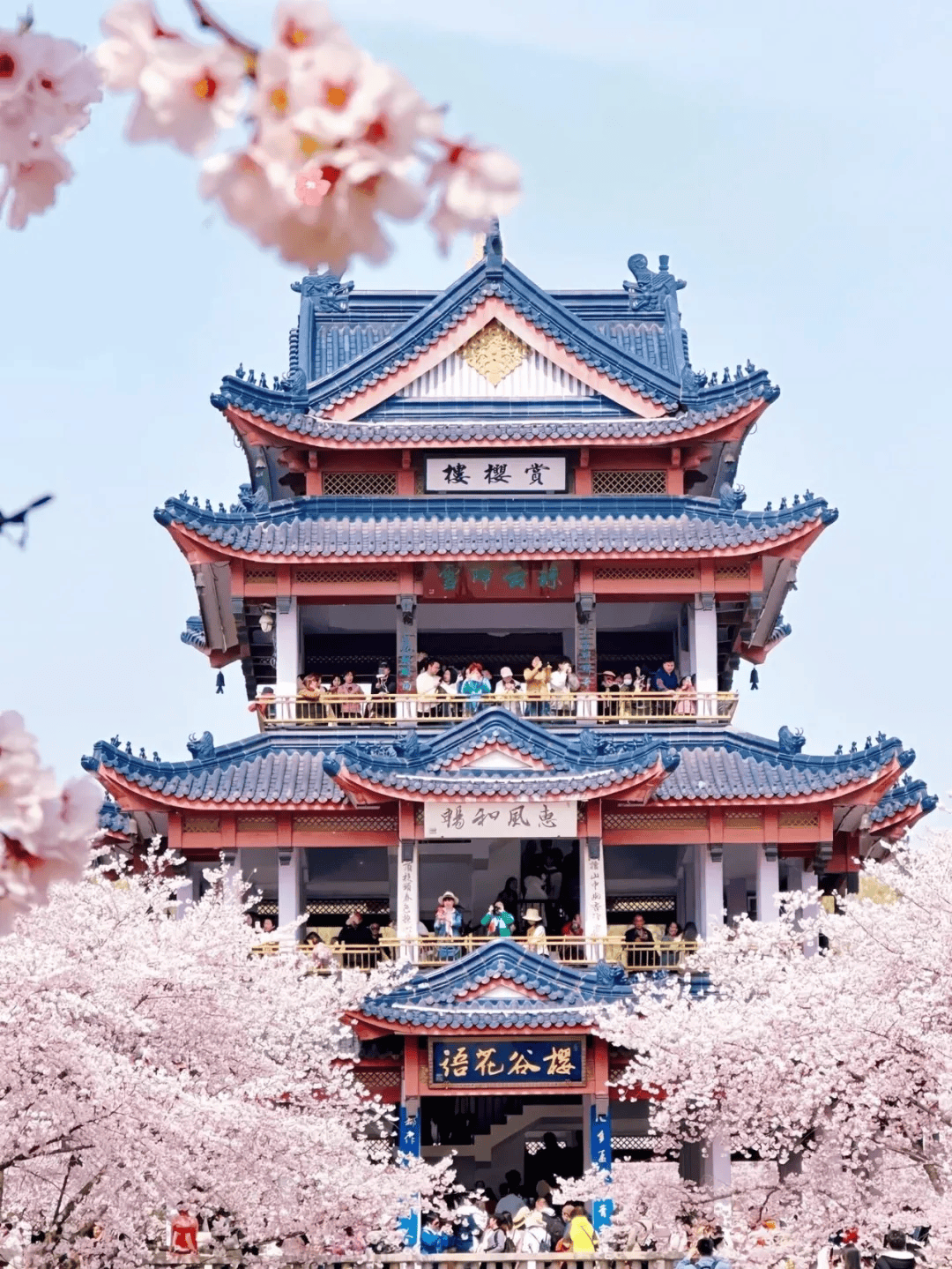 漫品江南:一段流转千年的诗意之旅_历史_丝绸博物馆_古镇